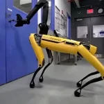 Algoritmalar Sayesinde Robot Köpekler Daha Gerçekçi