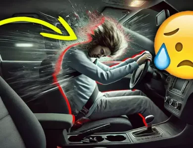 İç Dekapitasyon Nedir? - Webtekno – Güncel Teknoloji Haberleri ve Video İncelemeleri