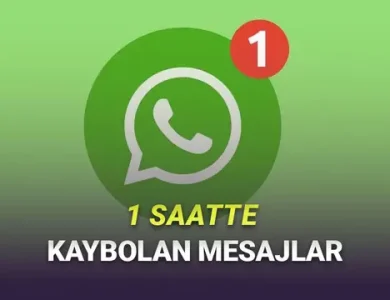 WhatsApp'a 1 Saatte Kaybolan Mesajlar Geliyor